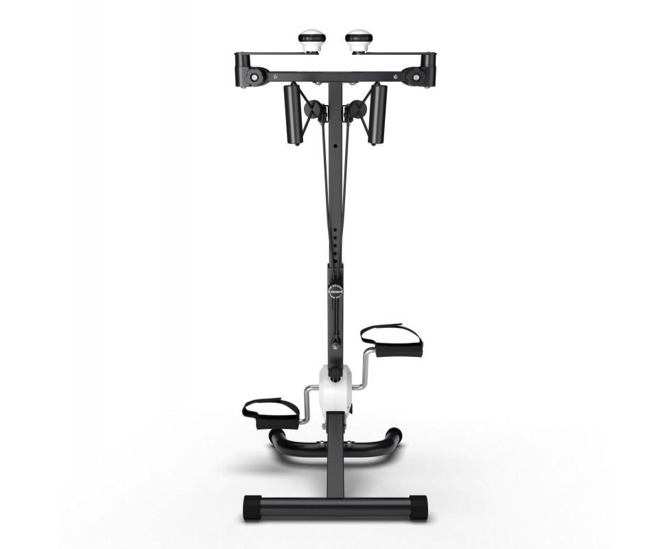 Велотренажер двойной DFC B810W dual bike