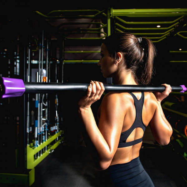 Бодибар PROFI-FIT