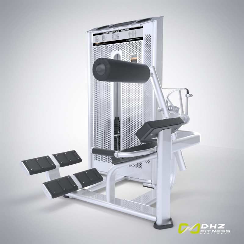 Разгибание спины. DHZ E7031A (Стек 110 кг)