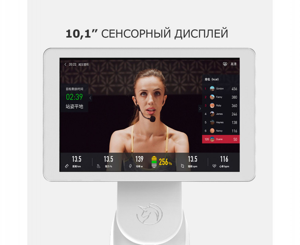 Велотренажер DFC Yesoul BS3-B-10.1 черный (дисплей 10.1")